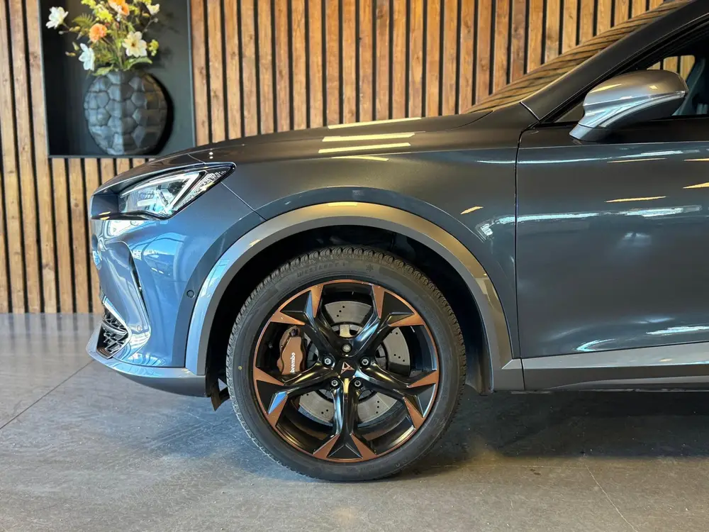 Cupra Formentor 2.0 TSI 4DRIVE / Brembo / Beats / Pano / Stu uit 2020, foto 6