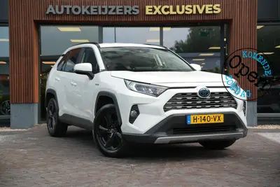 Toyota RAV4 2.5 Hybrid AWD Business Intro uit 2019
