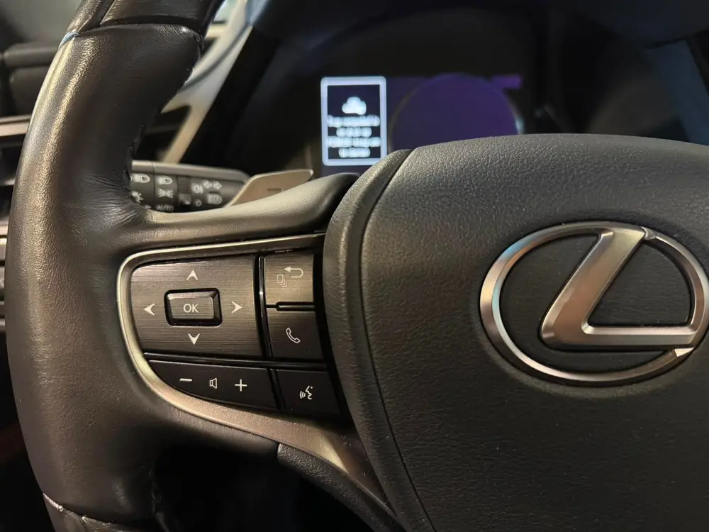 Lexus ES 300h President Line uit 2023, foto 15