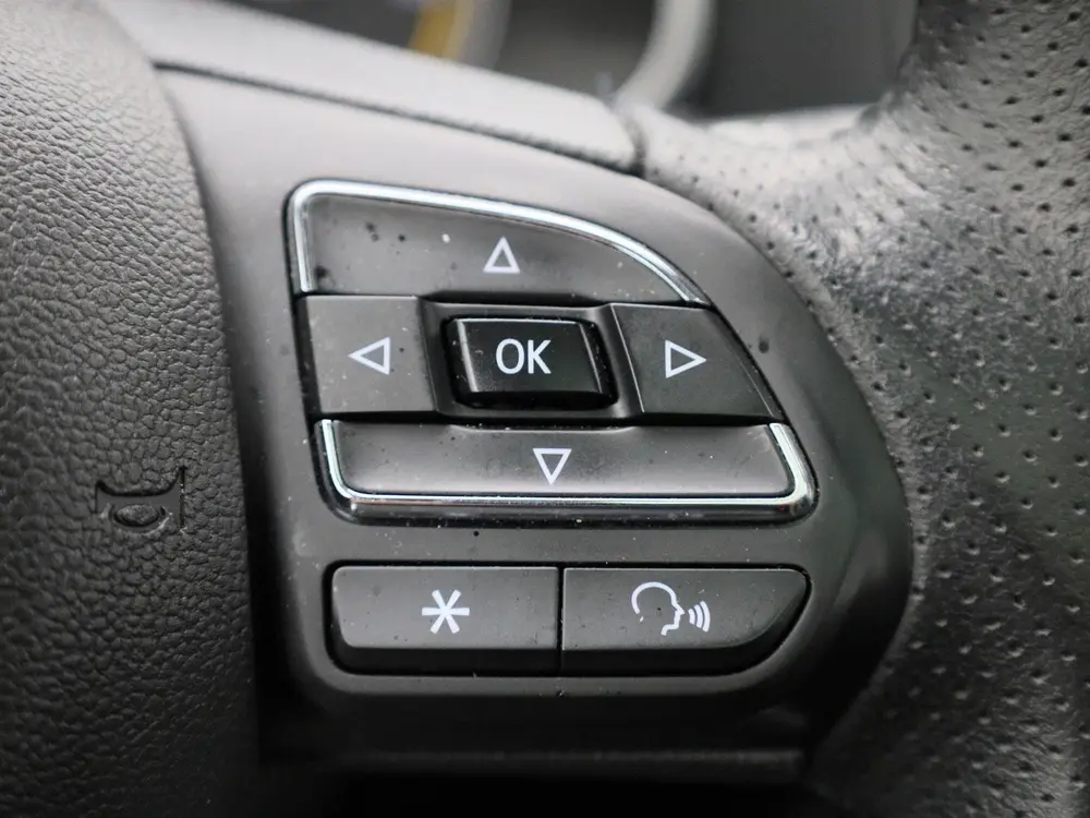 MG ZS EV Luxury 45 kWh | Apple Carplay/Android Auto | Panora uit 2021, foto 18