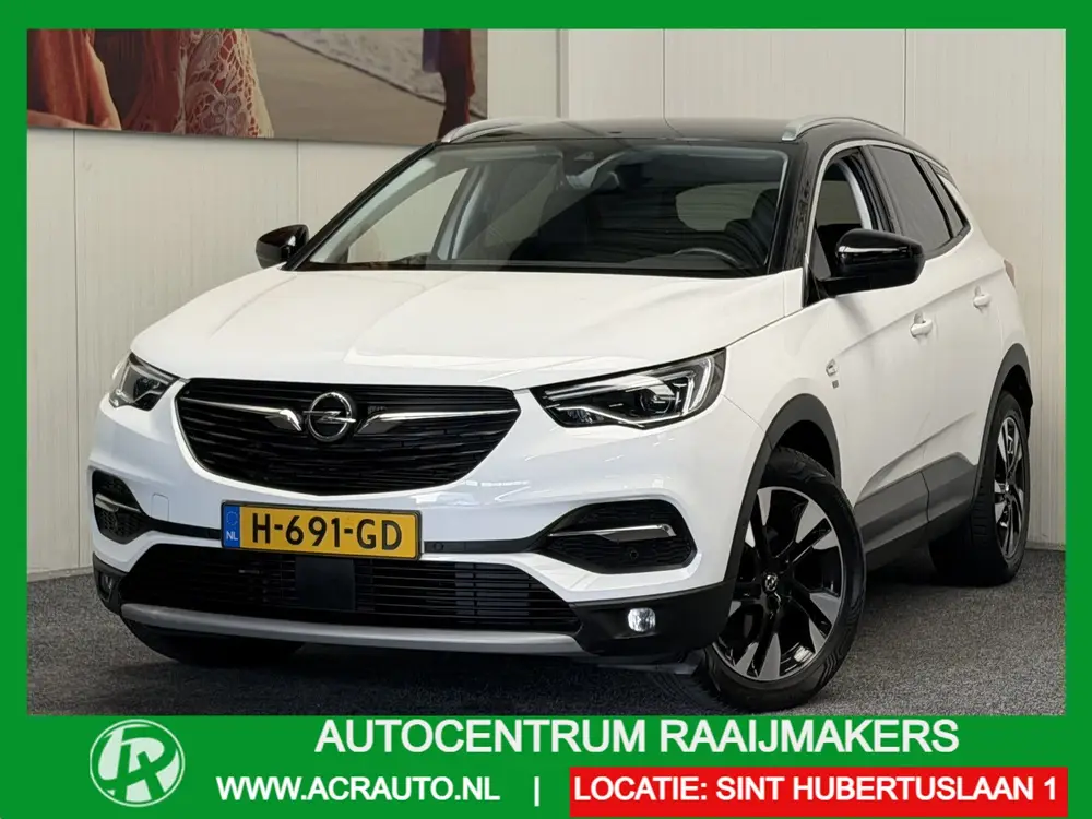 Opel Grandland X 1.2 TURBO APPLE C uit 2019