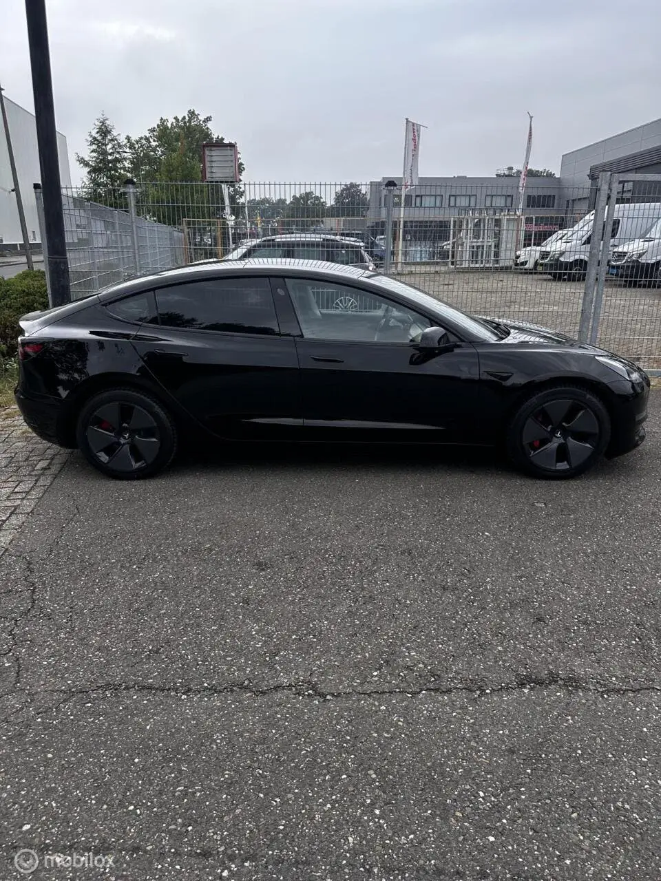 Tesla Model 3 Long Range AWD 75 kWh / Zeer netjes zie foto uit 2019, foto 9