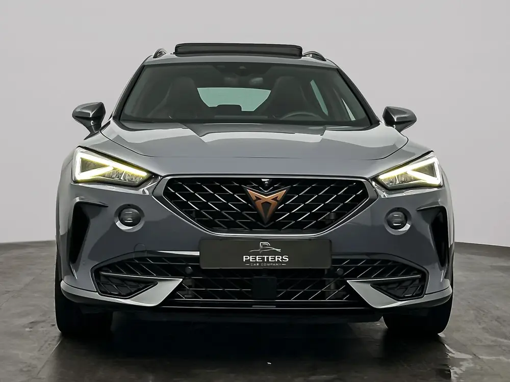 Cupra Formentor 1.4 e-Hybrid VZ Performance LEER - MEMORY ST uit 2021, foto 10