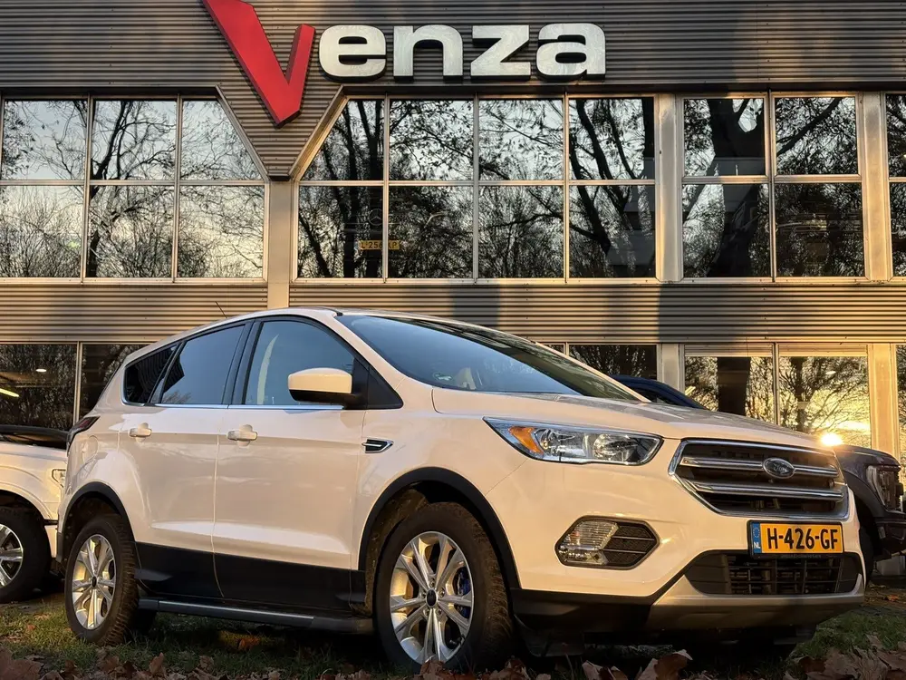 Ford Escape 2.0L EcoBoost 4WD (bj 2019, automaat) uit 2019