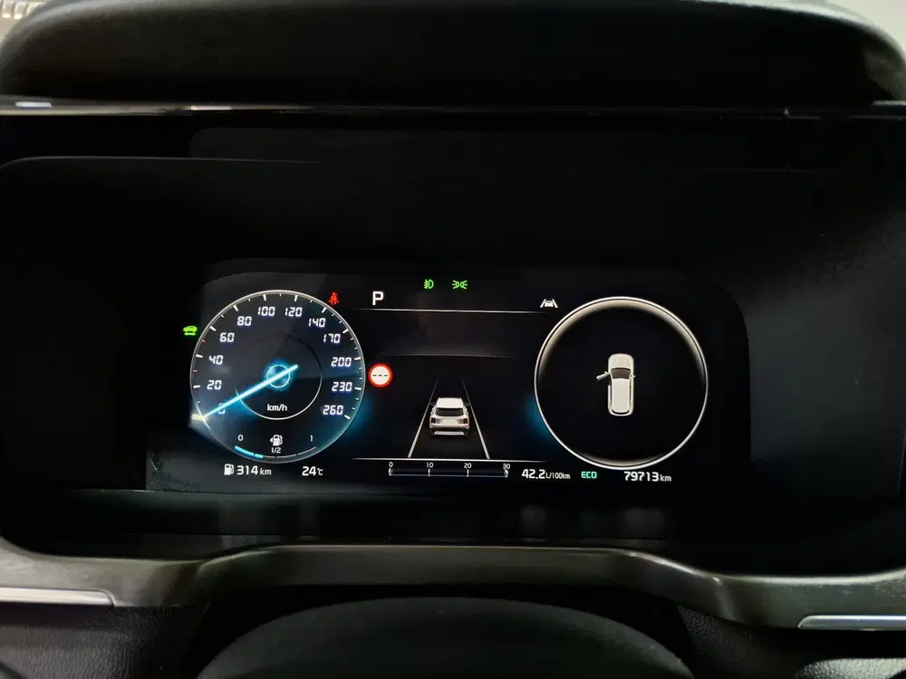 Kia Sorento 1.6 T-GDI Hybrid 2WD DynamicPlusLine 7p. M uit 2022, foto 14