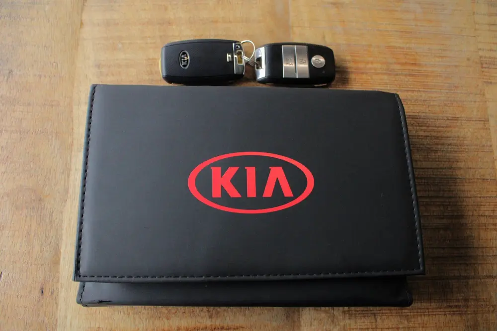 Kia Niro 1.6 GDi Hybrid DynamicPlusLine |trekhaak|dealer ond uit 2019, foto 20