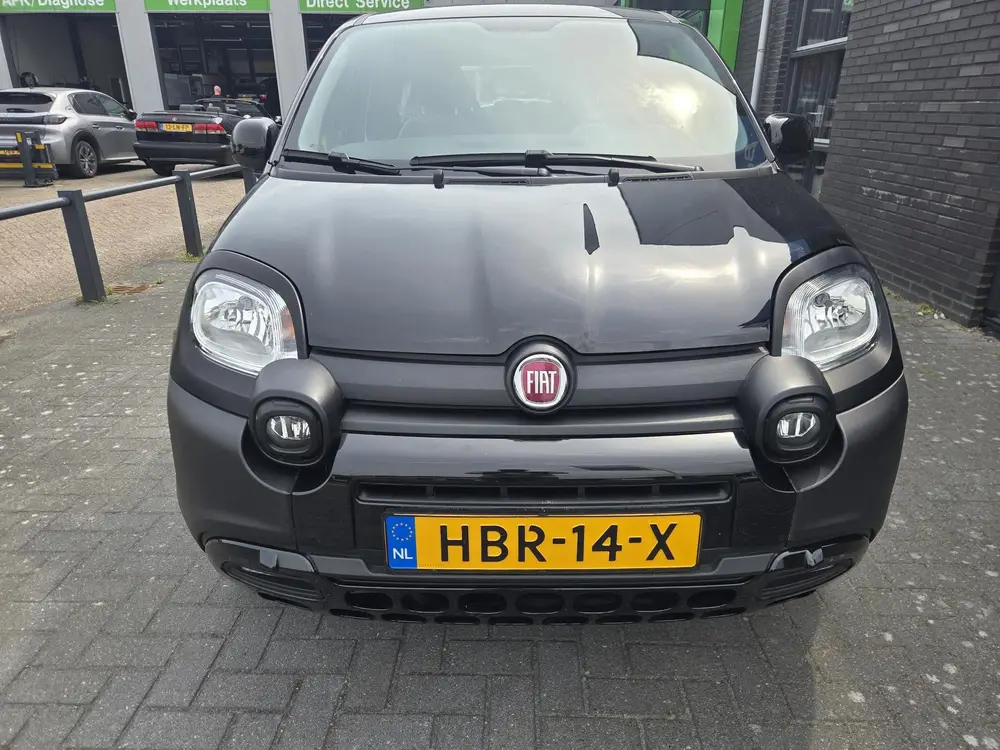 Fiat Panda 1.0 Hybrid City Life 5-ZITS uit 2023, foto 2