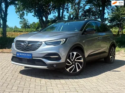 Opel Grandland X 1.6 Turbo Innovation + 181pk Trekhaak uit 2019