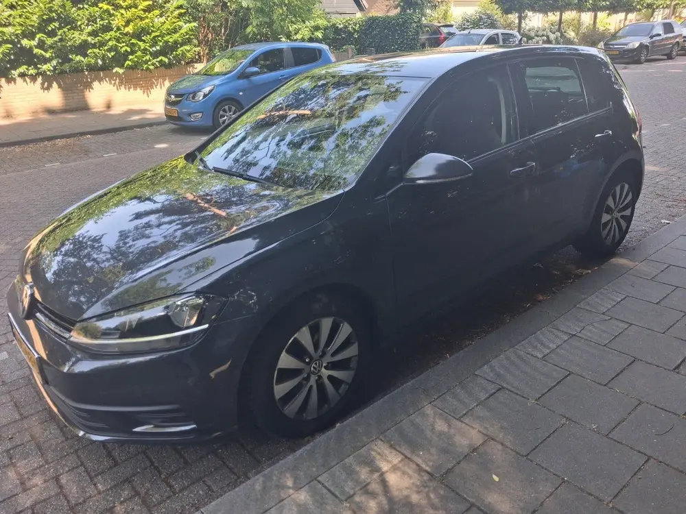 Volkswagen Golf VII Golf 1.0 TSI 115pk 2020 Grijs uit 2020, foto 4