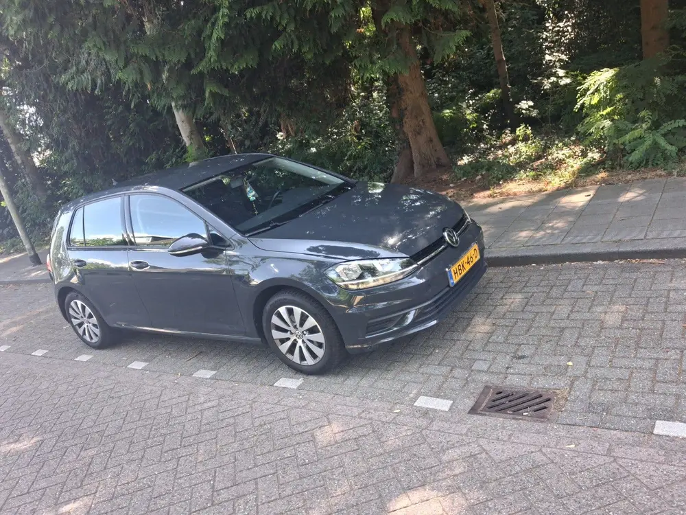 Volkswagen Golf VII Golf 1.0 TSI 115pk 2020 Grijs uit 2020, foto 5