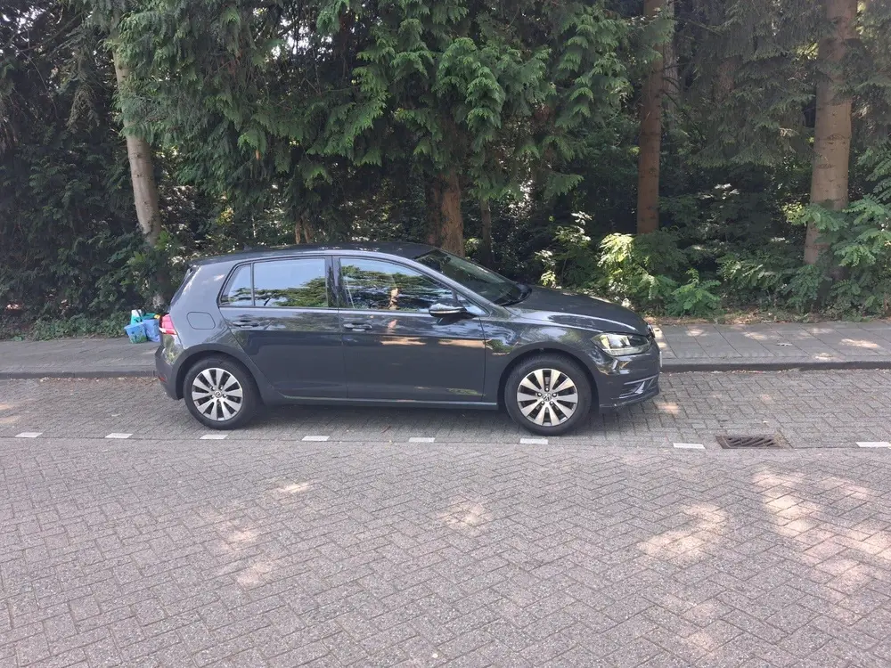 Volkswagen Golf VII Golf 1.0 TSI 115pk 2020 Grijs uit 2020, foto 6