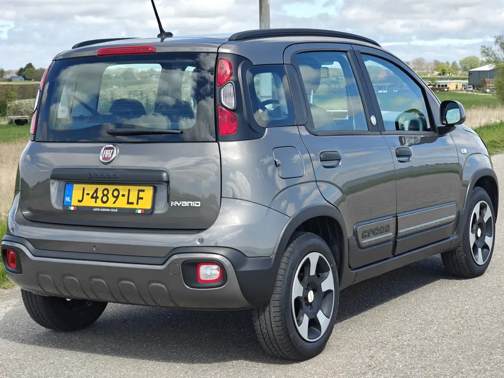 Fiat Panda 1.0 Hybrid Launch Edition (bj 2020) uit 2020, foto 6