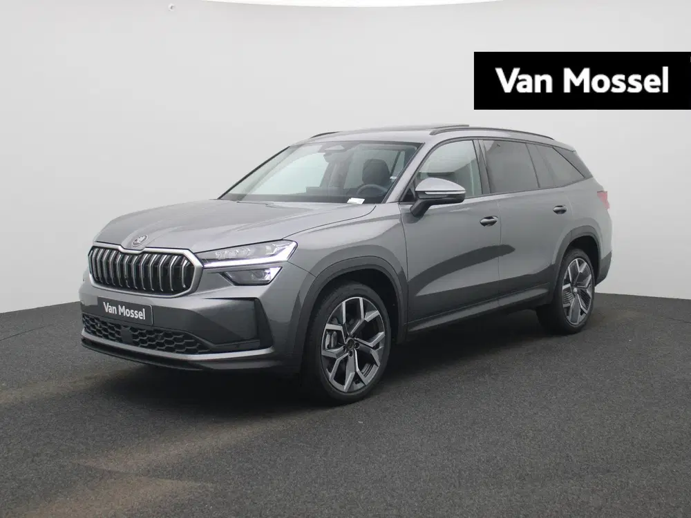 Skoda Kodiaq 1.5 TSI MHEV Business Edition 150 PK uit 2025