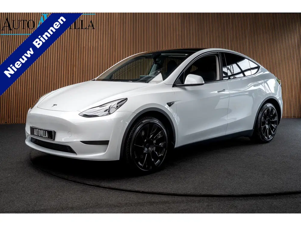 Tesla Model Y SOH: 95 uit 2022