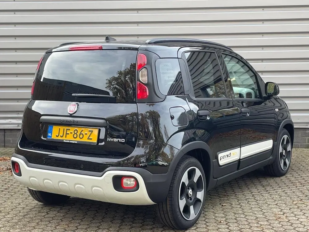 Fiat Panda 1.0 70pk Pandina I Cruise control I Carpla uit 2025, foto 5