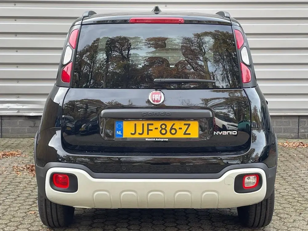 Fiat Panda 1.0 70pk Pandina I Cruise control I Carpla uit 2025, foto 6
