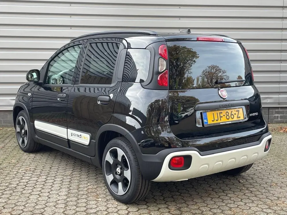 Fiat Panda 1.0 70pk Pandina I Cruise control I Carpla uit 2025, foto 8
