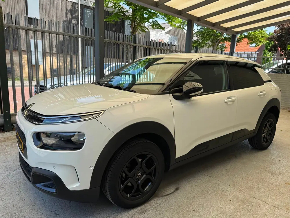 Citroën C4 Cactus Citroen C4 Cactus 1.2 PureTech Business Eat6 110pk 2019 Wit uit 2019, foto 3