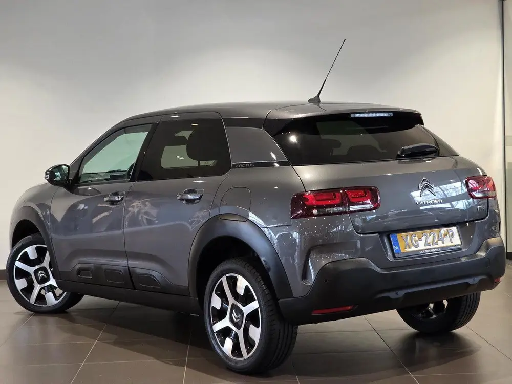 Citroën C4 Cactus Shine 1.2 Turbo 110pk | NAVI | KEYLESS | uit 2019, foto 6