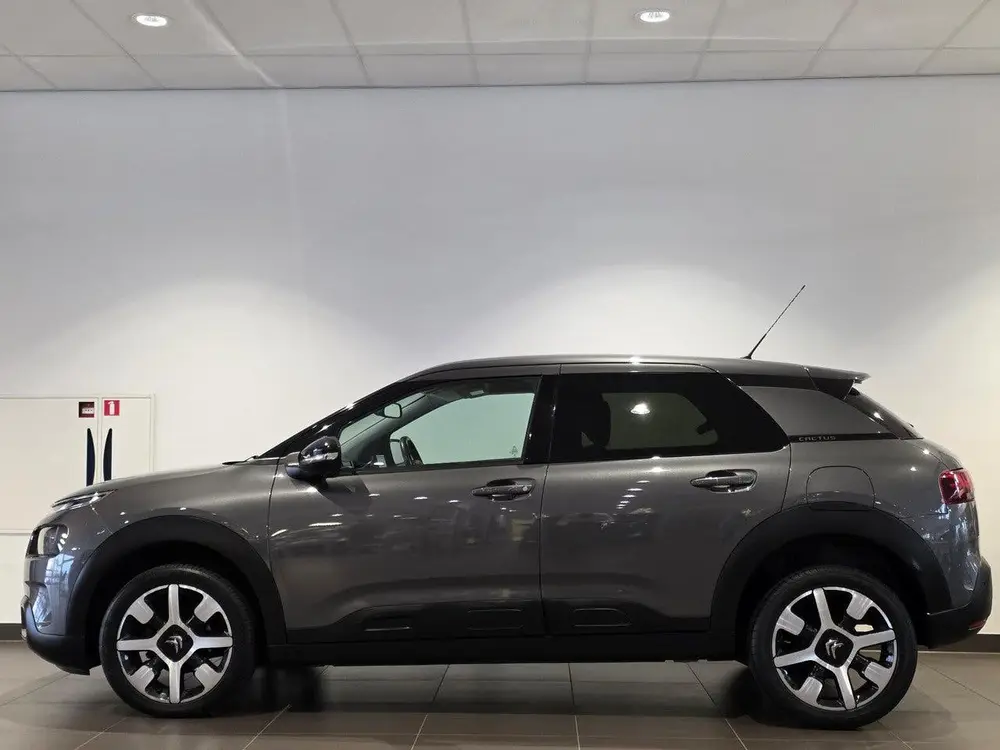 Citroën C4 Cactus Shine 1.2 Turbo 110pk | NAVI | KEYLESS | uit 2019, foto 8