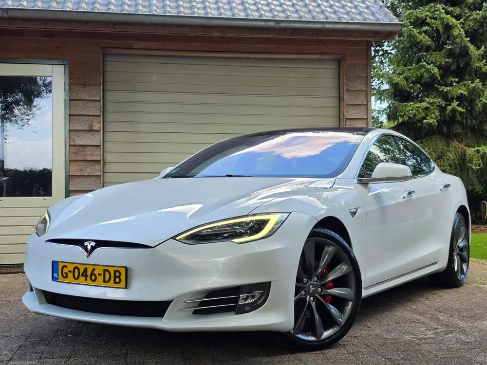 Tesla Model S Performance Ludicrous Raven Pano FSD NAP! uit 2019, foto 6