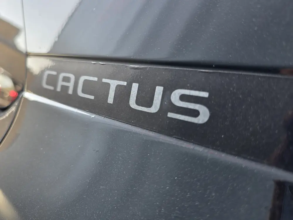 Citroën C4 Cactus 1.2 PureTech AUTOMAAT NAVI TEL LM CAMERA uit 2019, foto 10