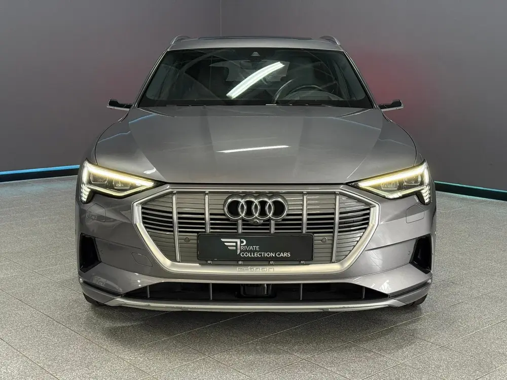 Audi e-tron e-tron 55 quattro advanced Pro Line Plus 9 uit 2019, foto 4