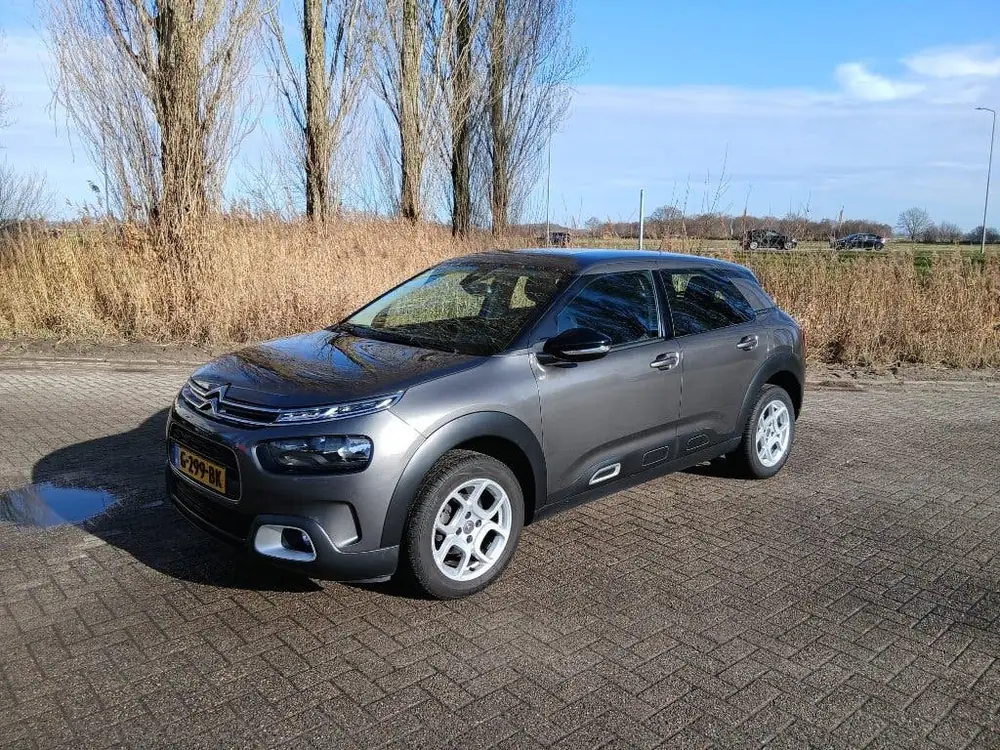 Citroën C4 Cactus Citroen C4 Cactus 2019 1.2 PureTech Business | PDC | Navi uit 2019