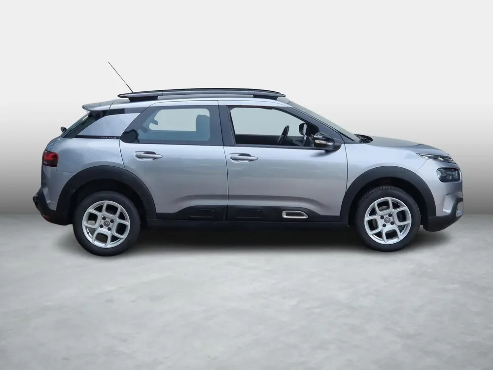 Citroën C4 Cactus Citroen C4 Cactus 1.2 110PK Business NL Auto|Dealer onderh.| uit 2019, foto 10