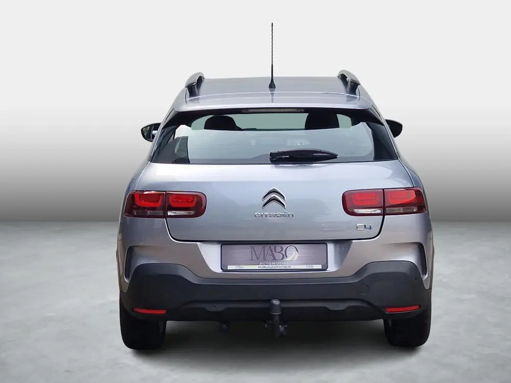 Citroën C4 Cactus Citroen C4 Cactus 1.2 110PK Business NL Auto|Dealer onderh.| uit 2019, foto 12