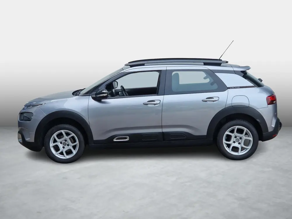 Citroën C4 Cactus Citroen C4 Cactus 1.2 110PK Business NL Auto|Dealer onderh.| uit 2019, foto 9