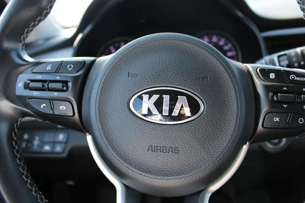 Kia Stonic 1.0 T-GDi DynamicPlusLine NAVIGATIE, ACHTERUITRIJ uit 2019, foto 17