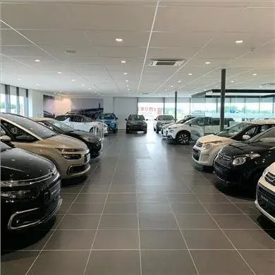 DS Automobiles DS 4 DS 4 E-Tense La Première uit 2022, foto 9