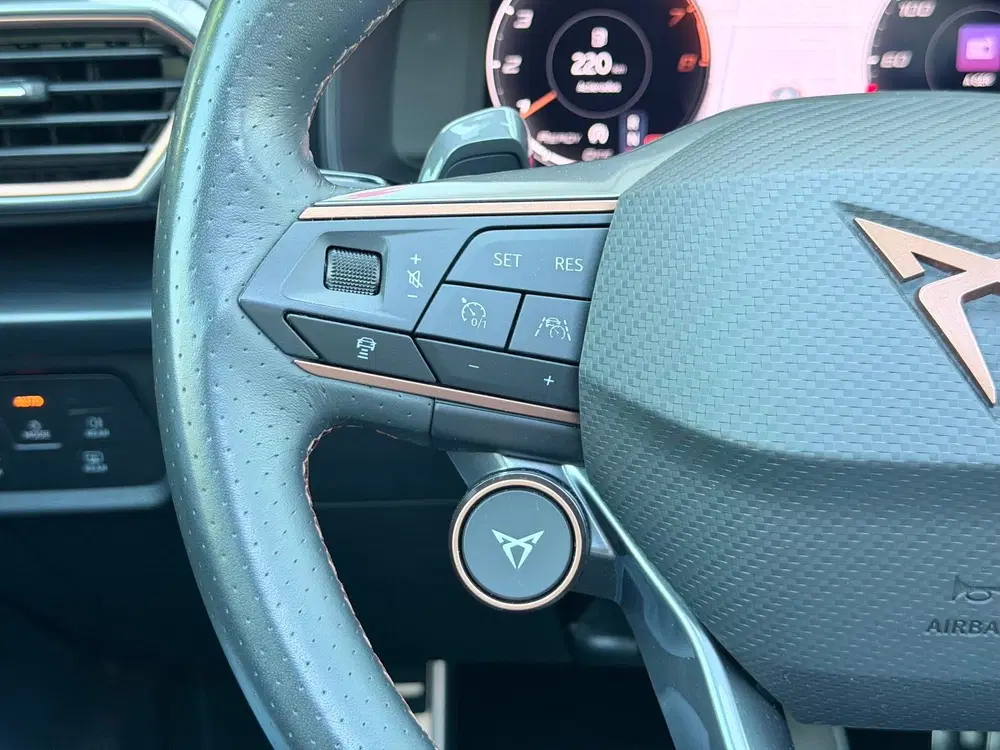 Cupra Formentor 2.0 TSI 4DRIVE Pano uit 2022, foto 14