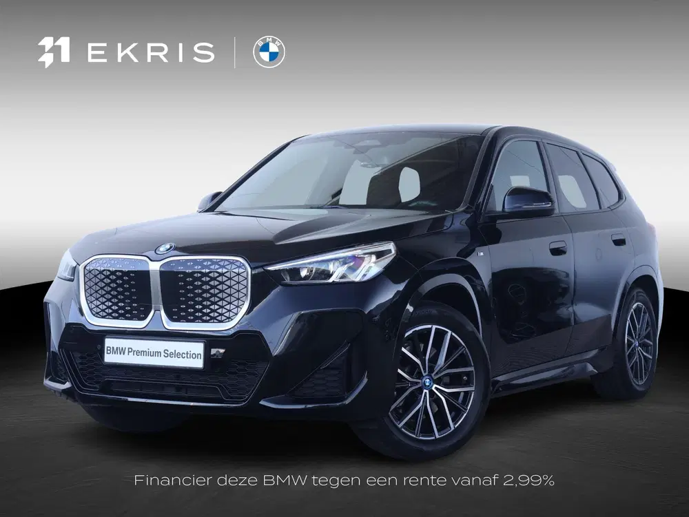 BMW iX1 xDrive30 67 kWh uit 2025