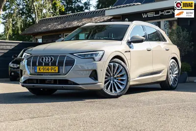 Audi e-tron E-tron 55 quattro advanced Pro Line Plus 9 uit 2019