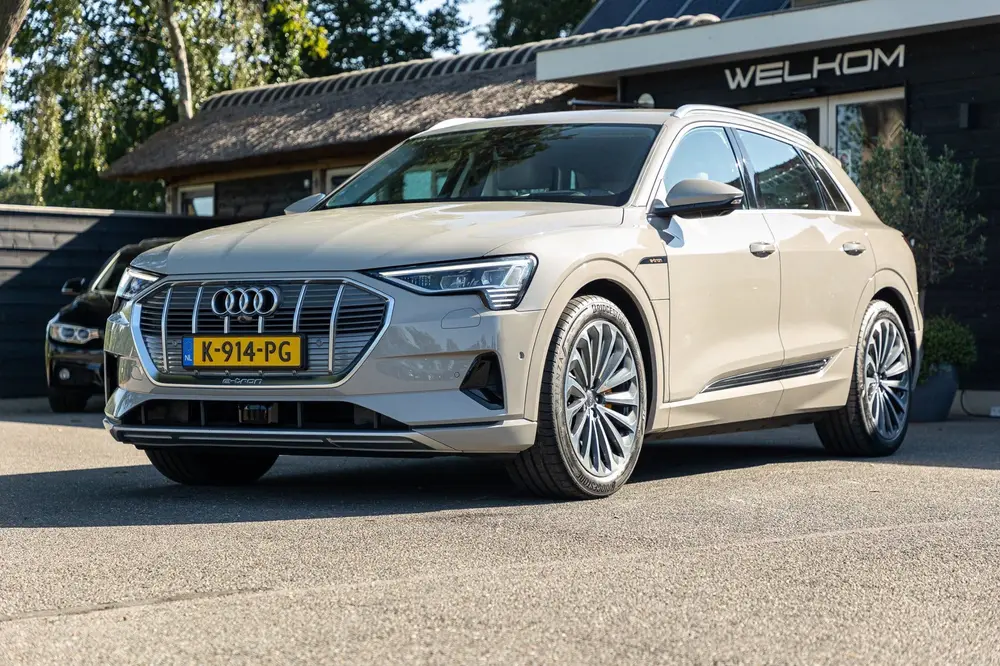 Audi e-tron E-tron 55 quattro advanced Pro Line Plus 9 uit 2019, foto 9