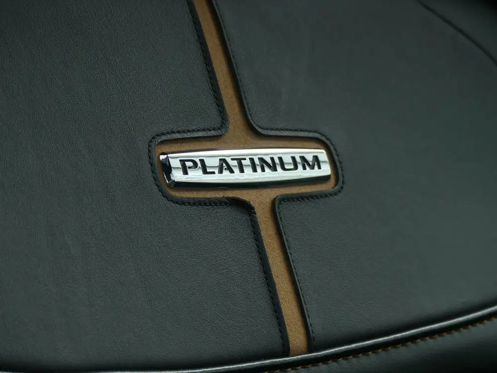 Ford F 150 V6 Platinum AWD 5P uit 2024, foto 10