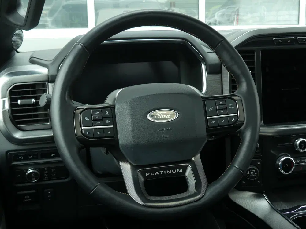 Ford F 150 V6 Platinum AWD 5P uit 2024, foto 11