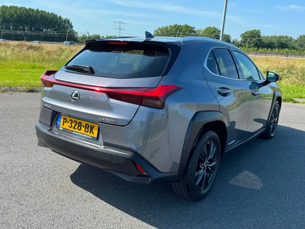 Lexus UX 250h Business Line Aut, Acc, Stoelvrw, Navi, Pdc, C uit 2019, foto 8
