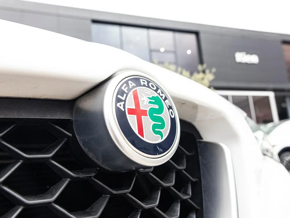 Alfa Romeo Stelvio 2.2d Super | Pano-dak | Lederen bekleding uit 2019, foto 18