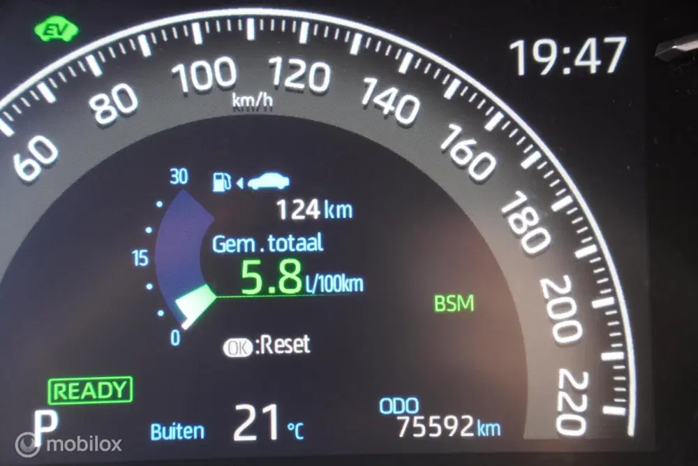 Toyota RAV 4 2.5 Hybrid Bi-Tone uit 2020, foto 15