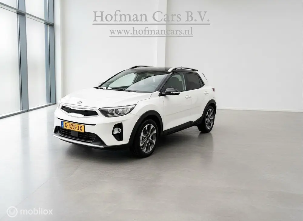 Kia Stonic 1.0 T-GDi DynamicPlusLine | Trekhaak | Camera | C uit 2019