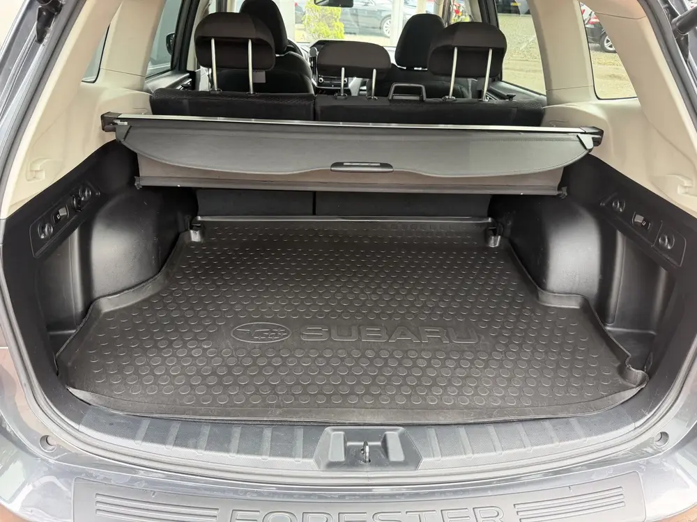Subaru Forester 2.0i e-BOXER Luxury Bj 2020 Km 79.000 Nap 1e uit 2020, foto 17