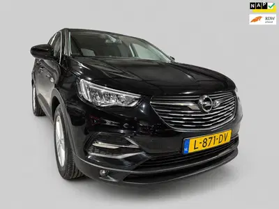 Opel Grandland X 1.2 Turbo Business Edition uit 2021