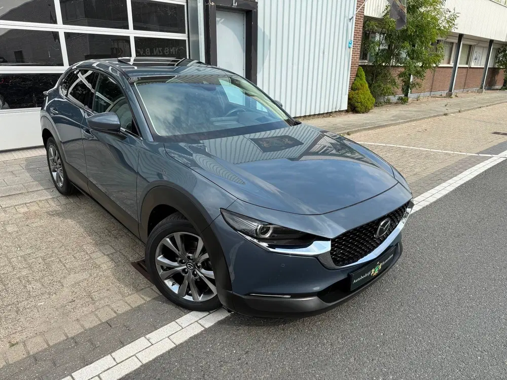 Mazda CX-30 2.0 e-SkyActiv-X M Hybrid Luxury BOSE uit 2021, foto 7
