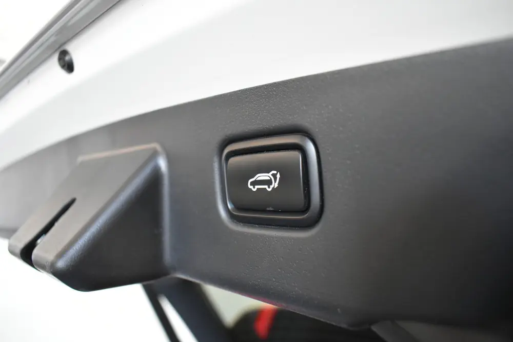 Kia Niro 1.6 GDi Hybrid DynamicPlusLine Panodak Vol uit 2024, foto 4
