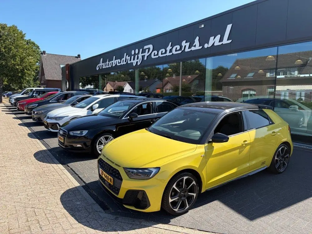 Audi A1 SB 30 TFSI S Line Edition One LED Navi Virtual Carpl uit 2019, foto 20