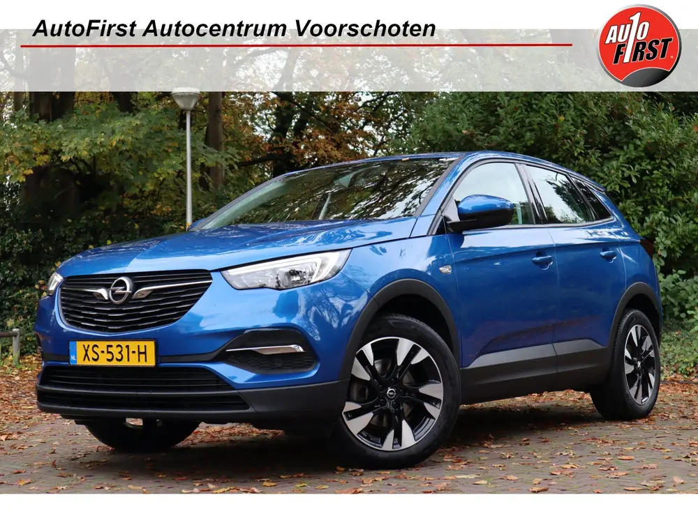 Opel Grandland X 1.2 Turbo Business + | Navi | Carplay | Cru uit 2019