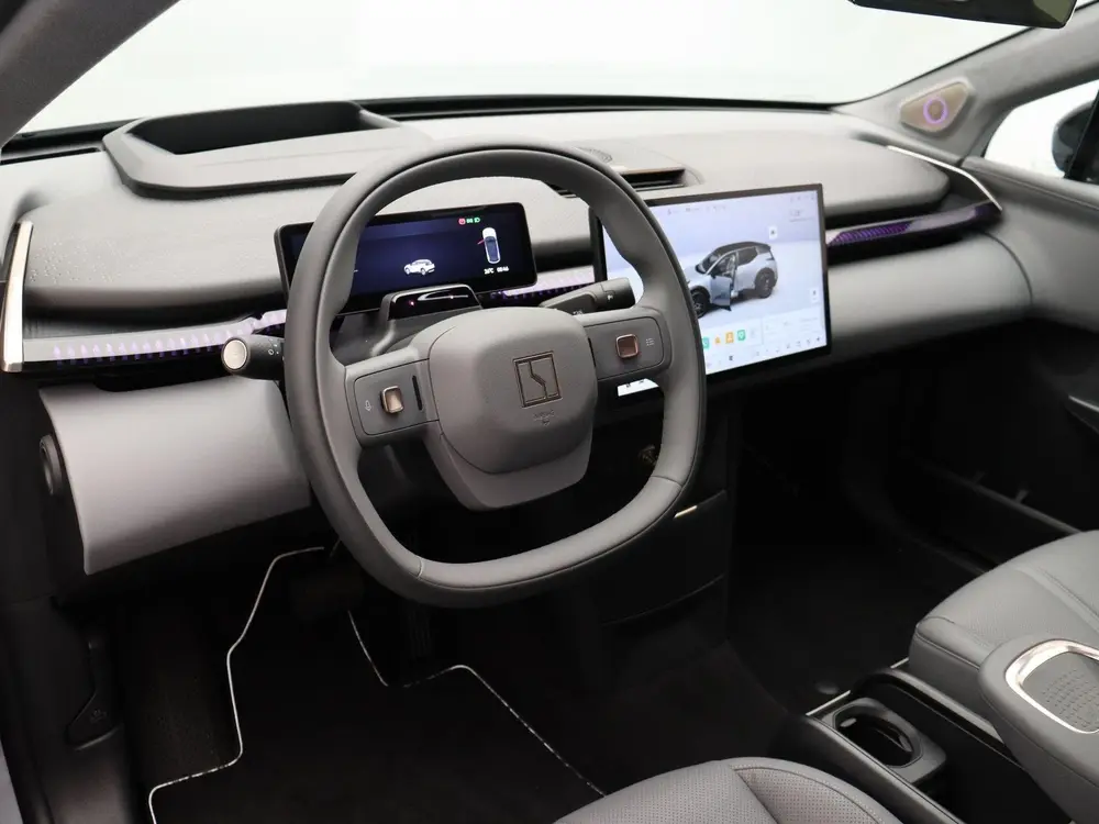 Zeekr X RWD Long Range 69 kWh | 440km WLTP | 22KW Lader | Ro uit 2024, foto 17